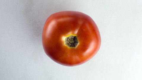 Nepal tomat