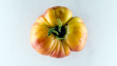 Tur Cross tomat