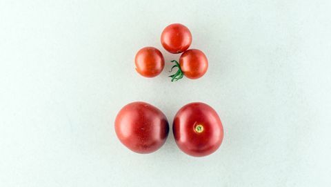 Mexico Midget tomat
