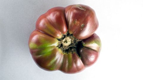 Cherokee Purple tomat