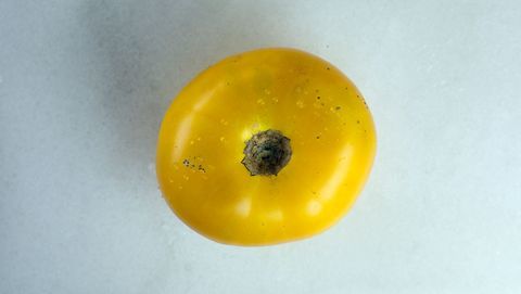 Azoychka tomat