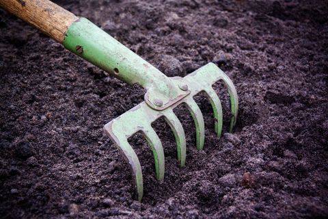 hacka gräva mark
