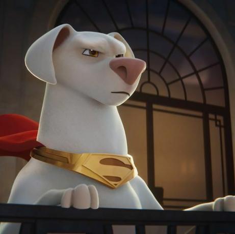 DC league of super pets i bästa barnfilmer 2022